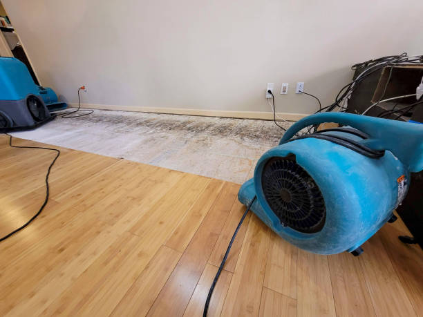 Professional Water Removal technician working in Custer, WI